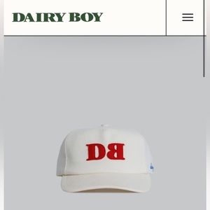 Dairy Boy Wool Hat -sold out online